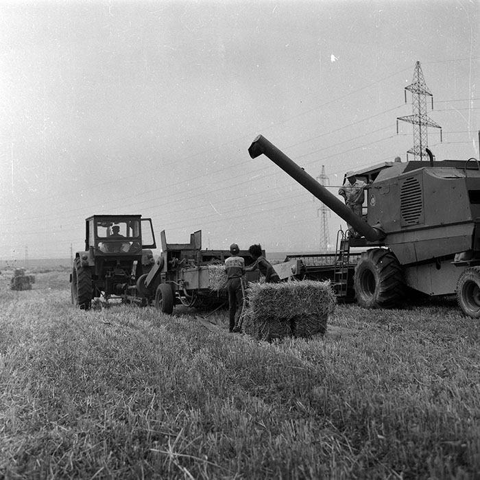 minerva_Agrar_c1_c3r1_022