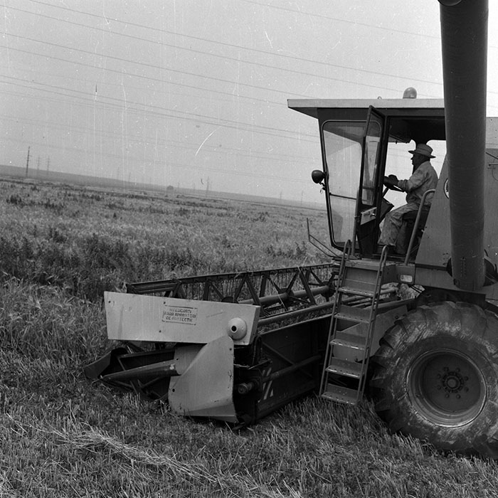 minerva_Agrar_c1_c3r1_023