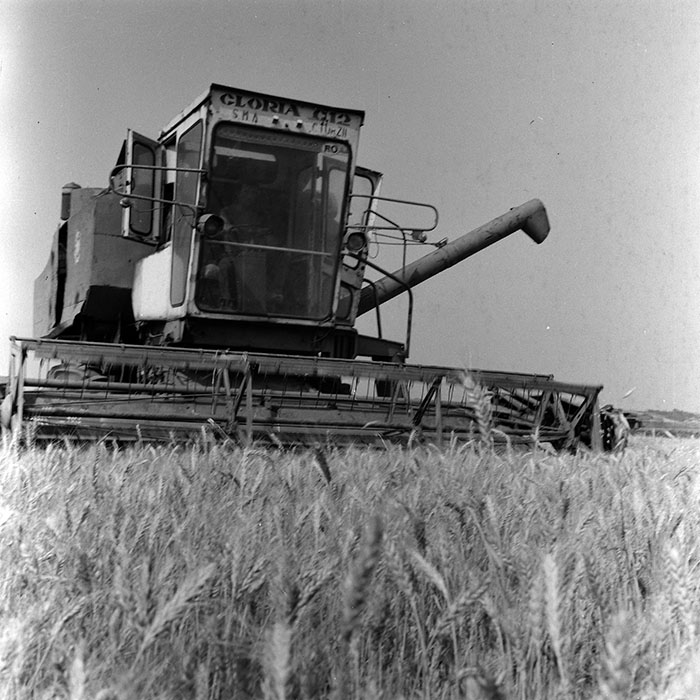 minerva_Agrar_c1_c3r1_025