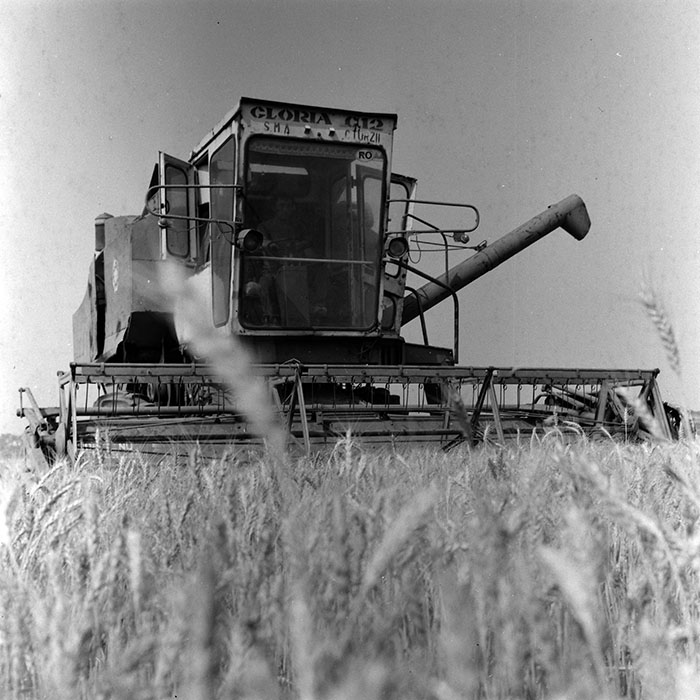 minerva_Agrar_c1_c3r1_026