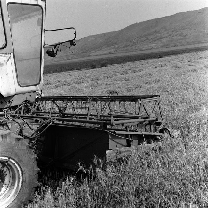 minerva_Agrar_c1_c3r1_027