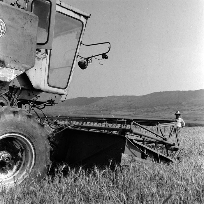 minerva_Agrar_c1_c3r1_028