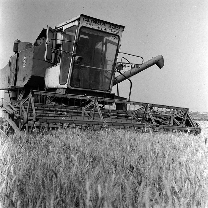 minerva_Agrar_c1_c3r1_029