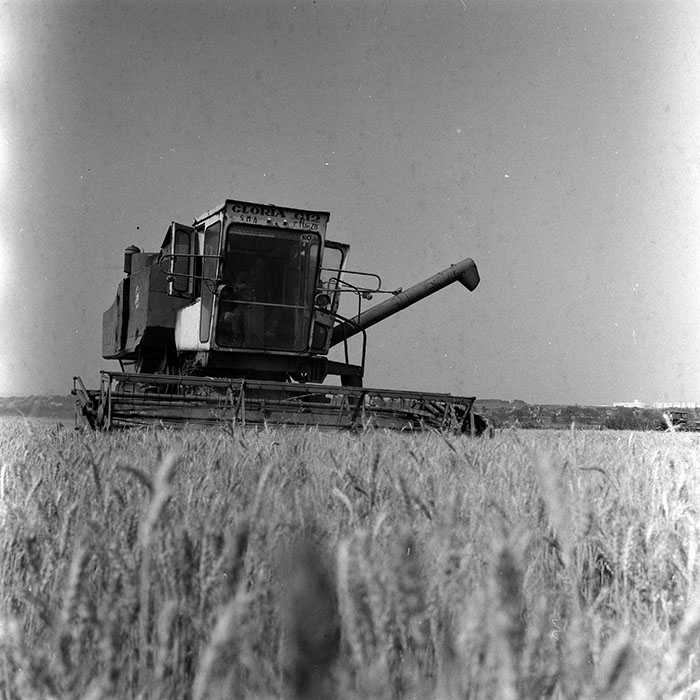 minerva_Agrar_c1_c3r1_030