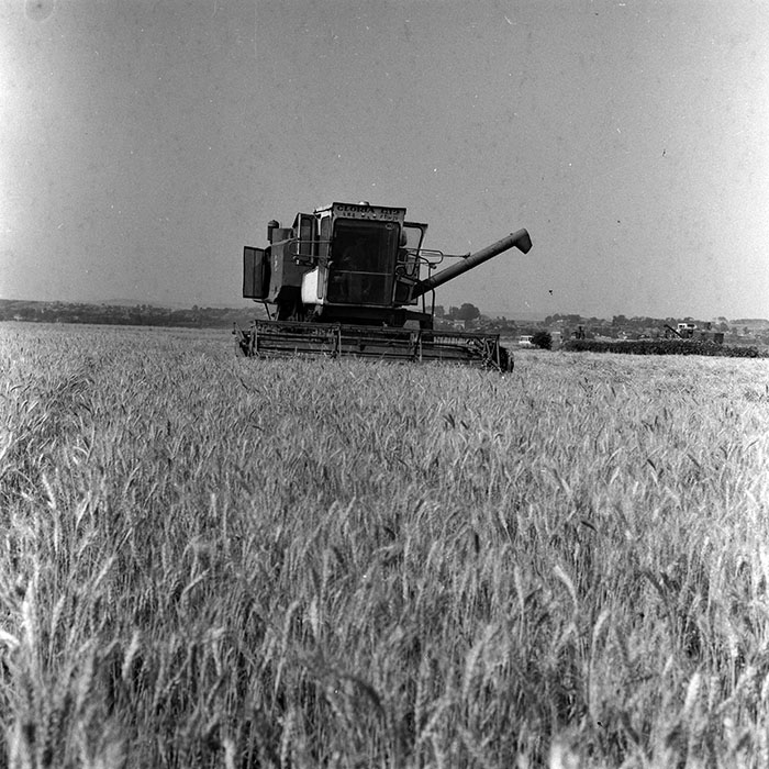 minerva_Agrar_c1_c3r1_031