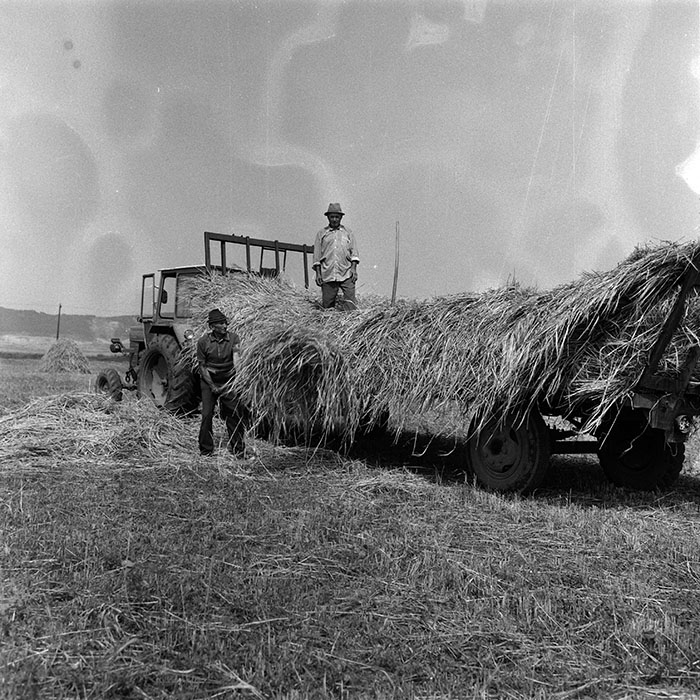 minerva_Agrar_c1_c3r1_036