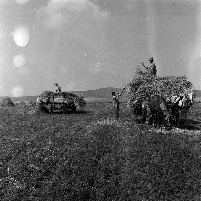 minerva_Agrar_c1_c3r1_039