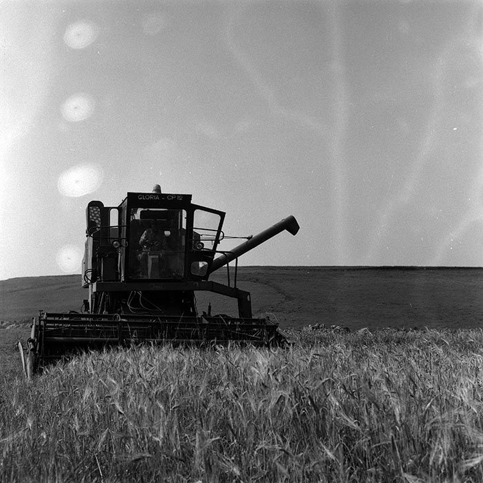 minerva_Agrar_c1_c3r1_040