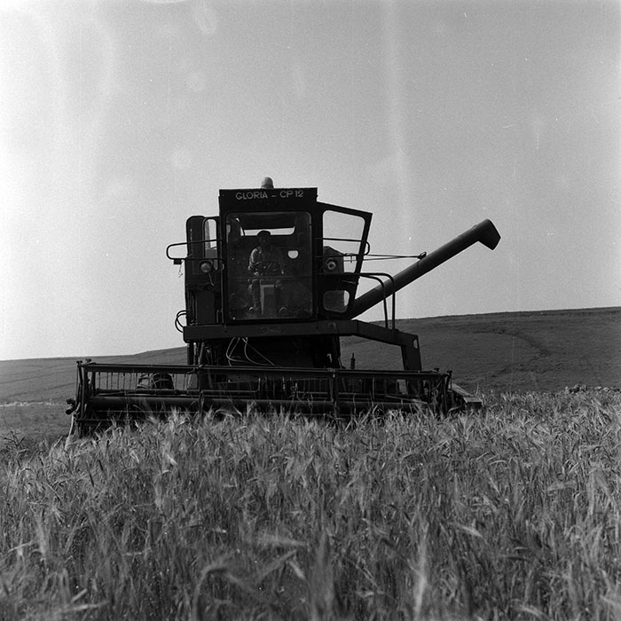 minerva_Agrar_c1_c3r1_041