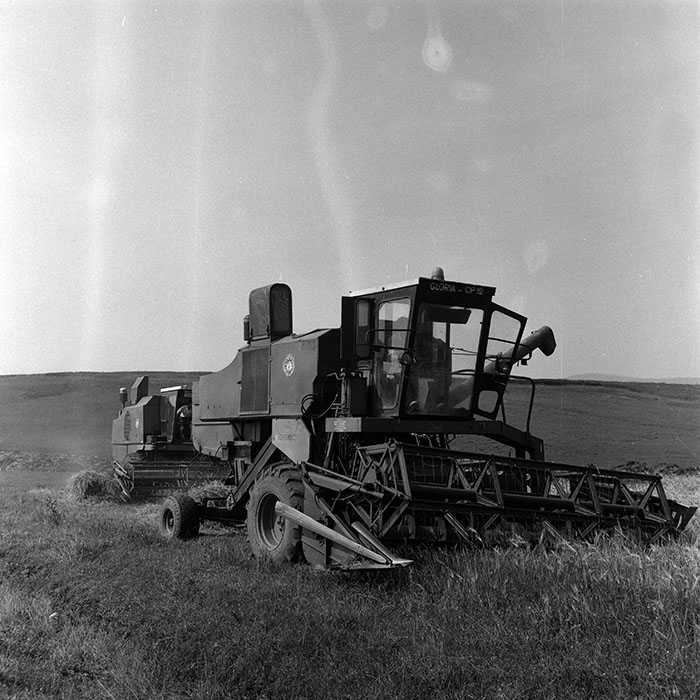 minerva_Agrar_c1_c3r1_042