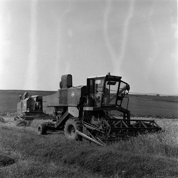 minerva_Agrar_c1_c3r1_043