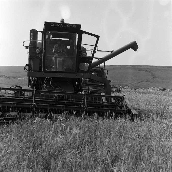 minerva_Agrar_c1_c3r1_044