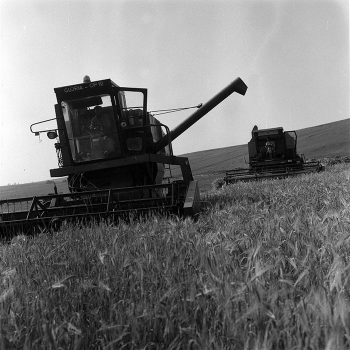 minerva_Agrar_c1_c3r1_045