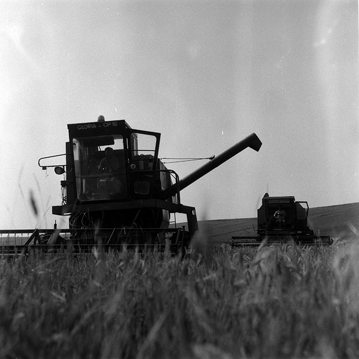 minerva_Agrar_c1_c3r1_046