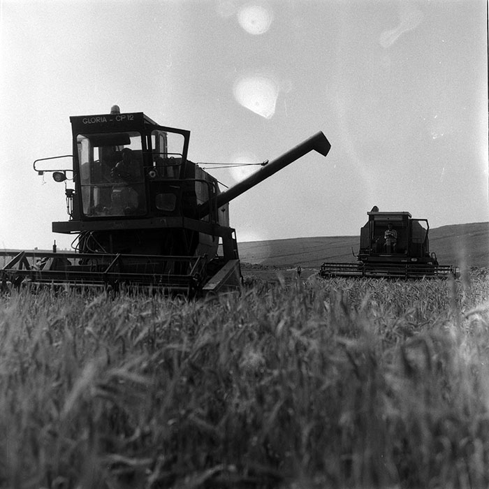 minerva_Agrar_c1_c3r1_047