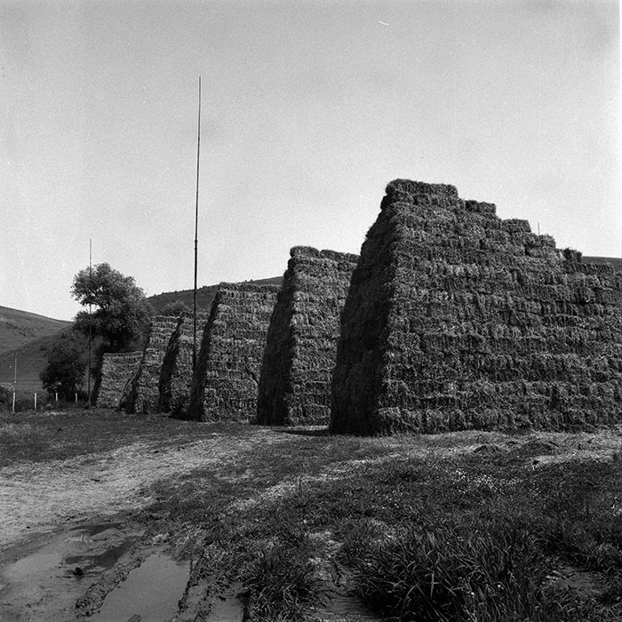 minerva_Agrar_c1_c3r1_048