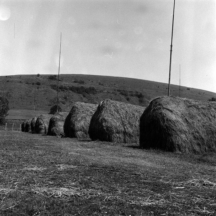 minerva_Agrar_c1_c3r1_050