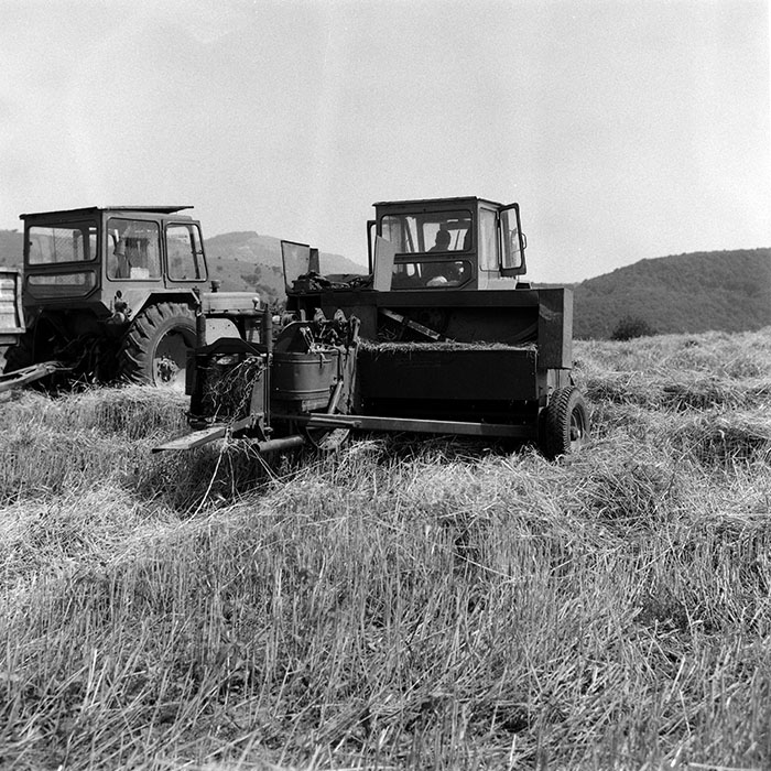 minerva_Agrar_c1_c3r1_055