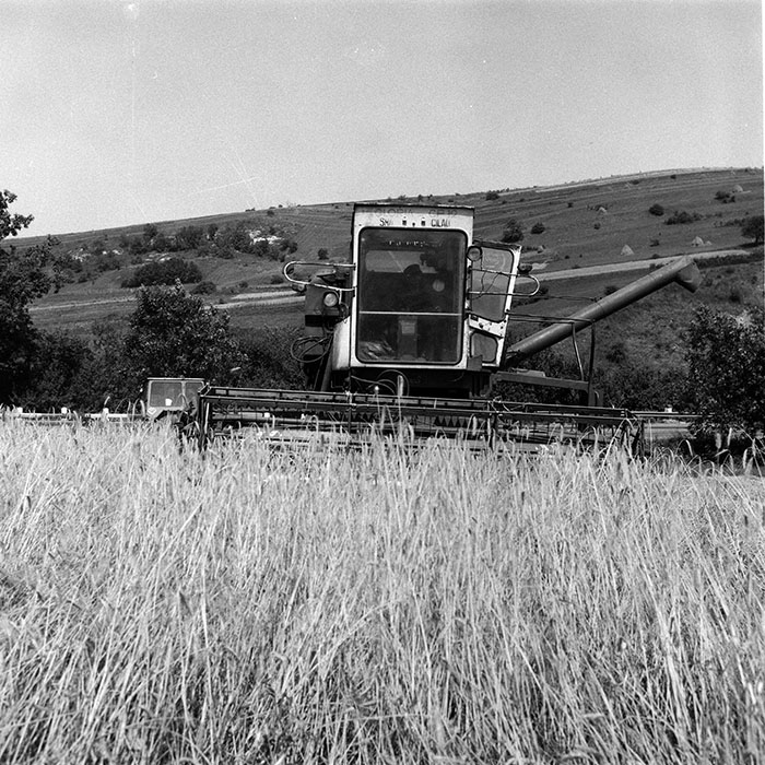 minerva_Agrar_c1_c3r1_057