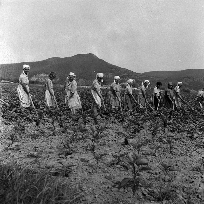 minerva_Agrar_c1_c3r2_003