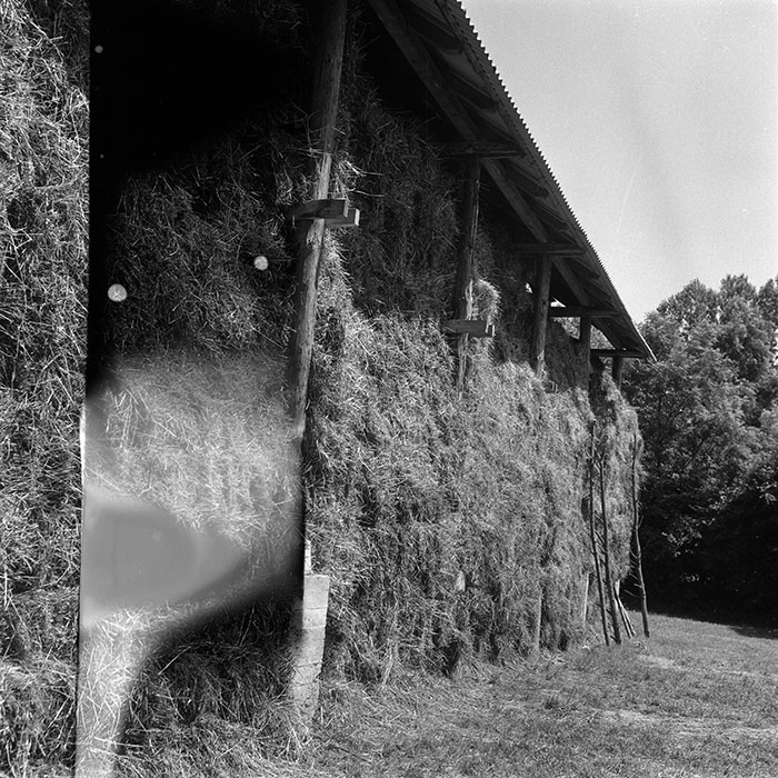 minerva_Agrar_c1_c3r3_001