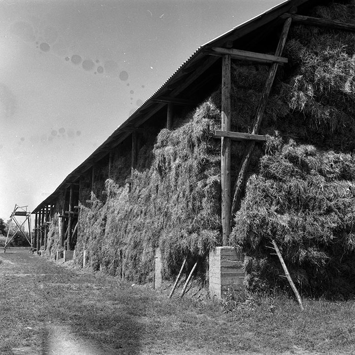 minerva_Agrar_c1_c3r3_002