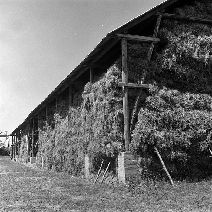 minerva_Agrar_c1_c3r3_003