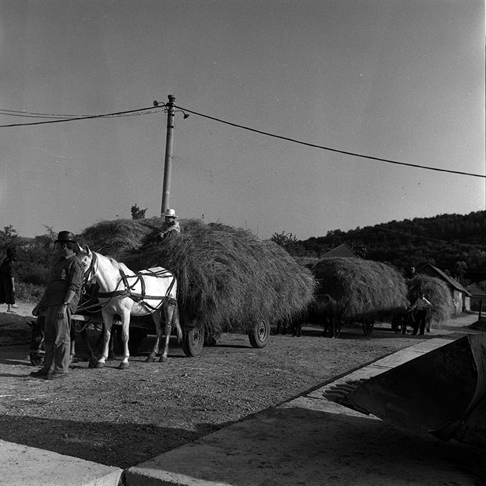 minerva_Agrar_c1_c3r3_009