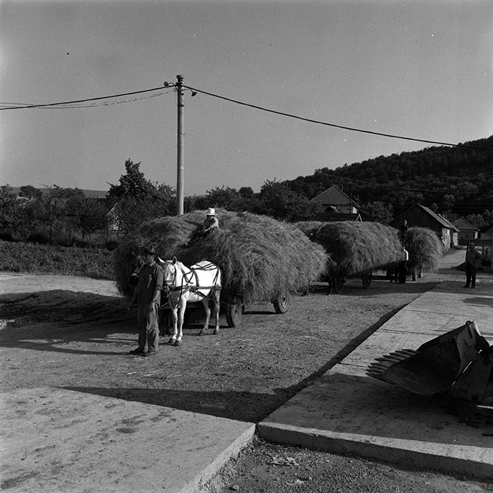 minerva_Agrar_c1_c3r3_010