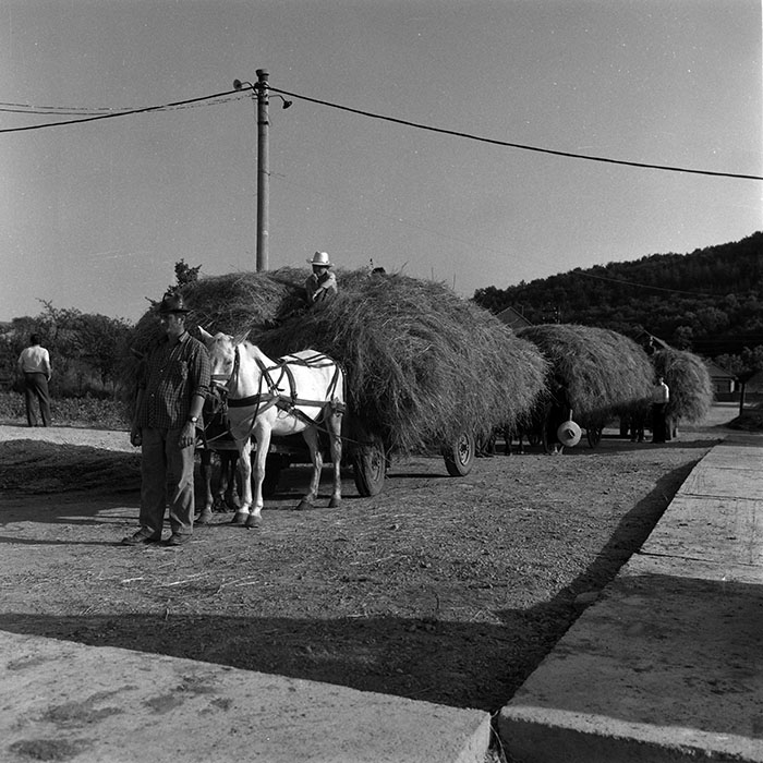 minerva_Agrar_c1_c3r3_011