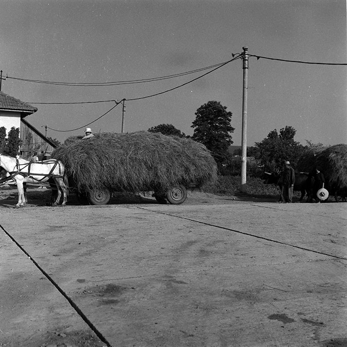 minerva_Agrar_c1_c3r3_012