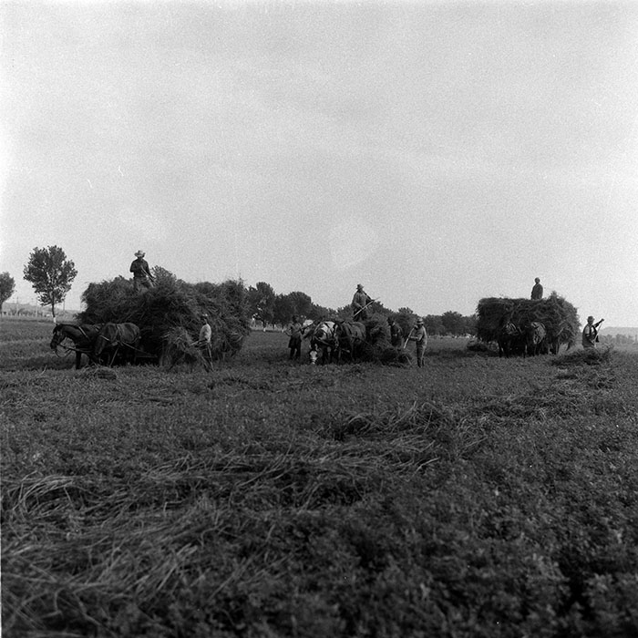 minerva_Agrar_c1_c3r3_013