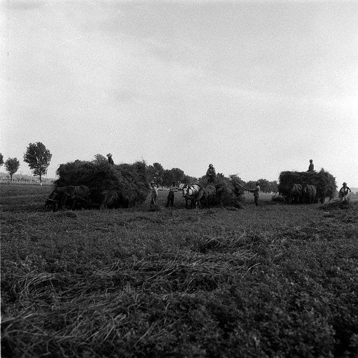 minerva_Agrar_c1_c3r3_014