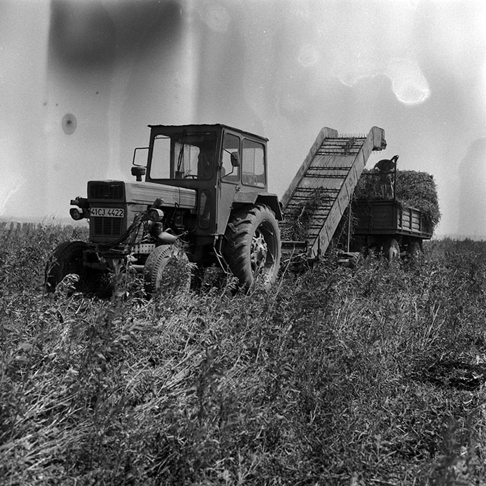 minerva_Agrar_c1_c3r4_001