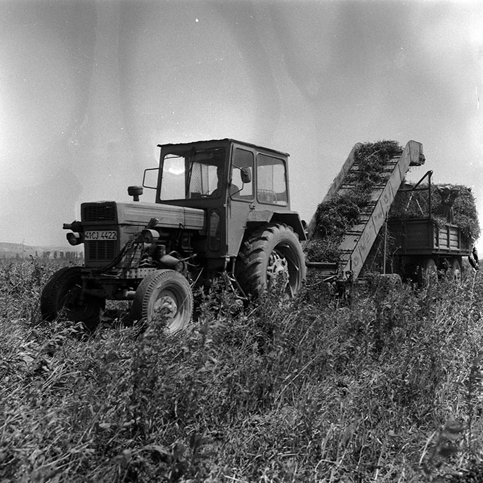 minerva_Agrar_c1_c3r4_002