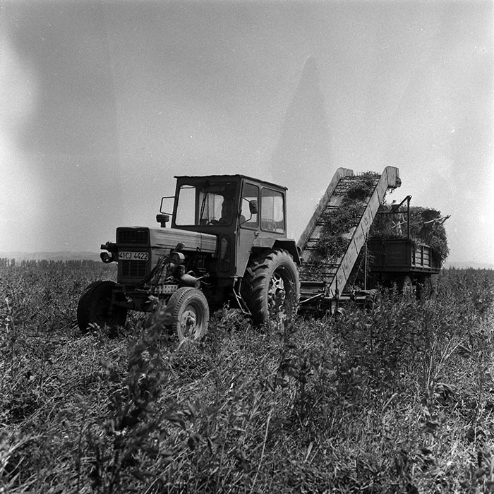 minerva_Agrar_c1_c3r4_003