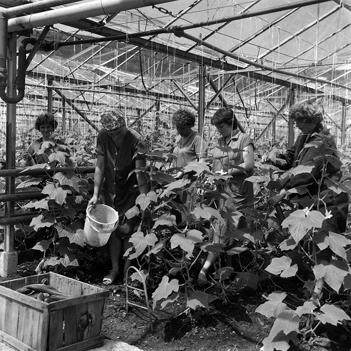 minerva_Agrar_c1_c3r4_005