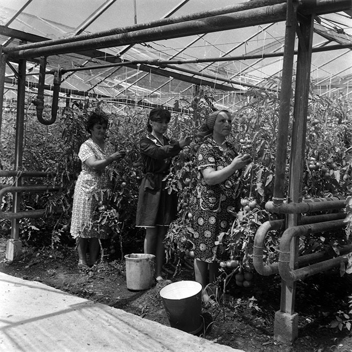 minerva_Agrar_c1_c3r4_007