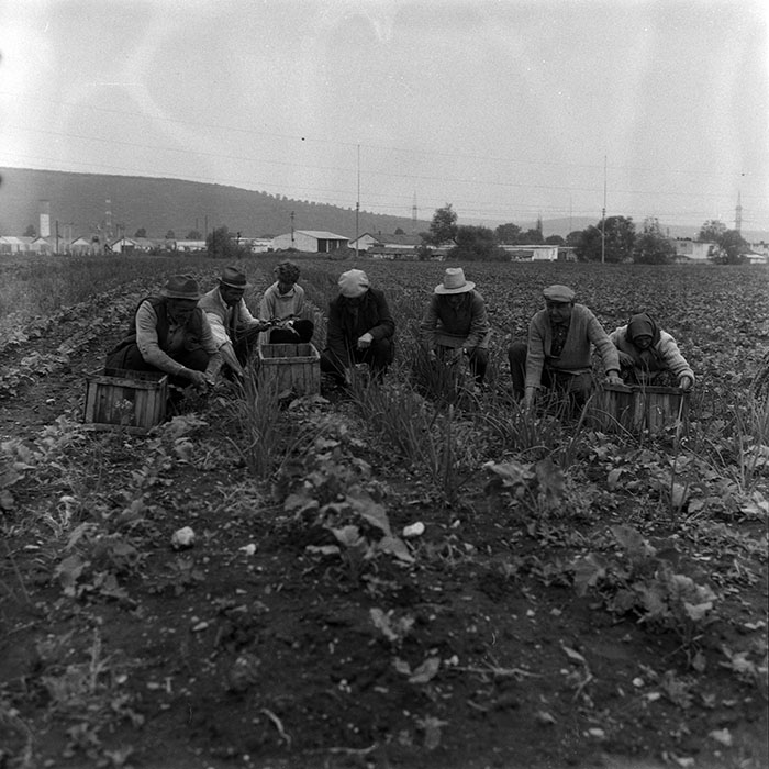 minerva_Agrar_c1_c3r5_001