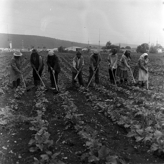 minerva_Agrar_c1_c3r5_003