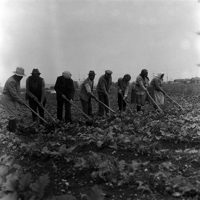 minerva_Agrar_c1_c3r5_005