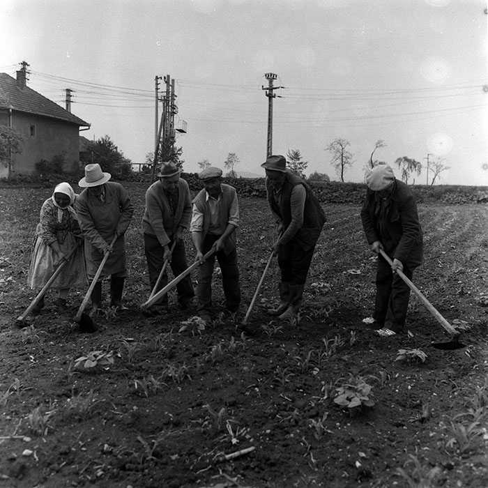 minerva_Agrar_c1_c3r5_006