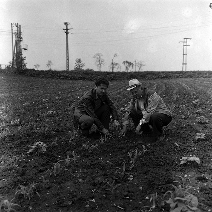 minerva_Agrar_c1_c3r5_007