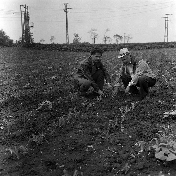 minerva_Agrar_c1_c3r5_008