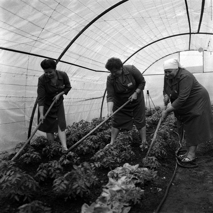 minerva_Agrar_c1_c3r5_009