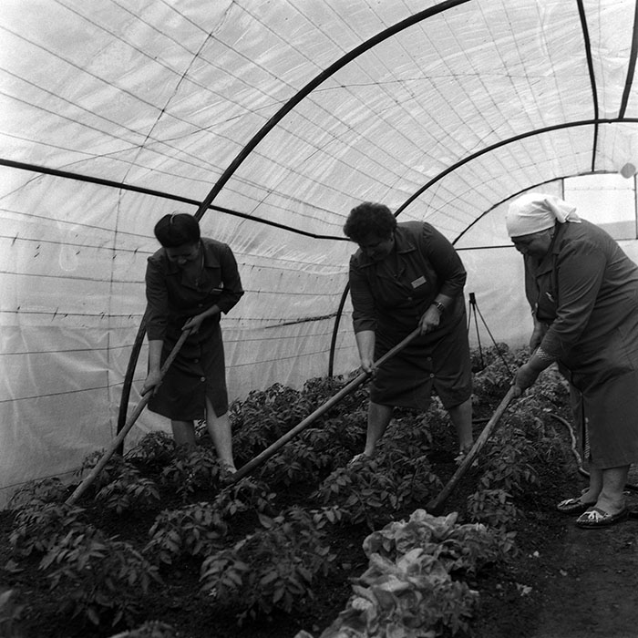 minerva_Agrar_c1_c3r5_010