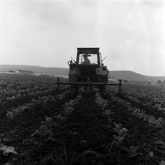 minerva_Agrar_c1_c3r5_012