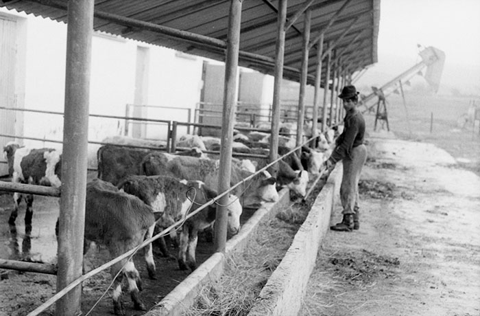 minerva_Agrar_c1_c3r5_016