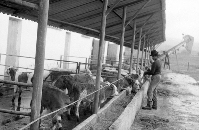 minerva_Agrar_c1_c3r5_017