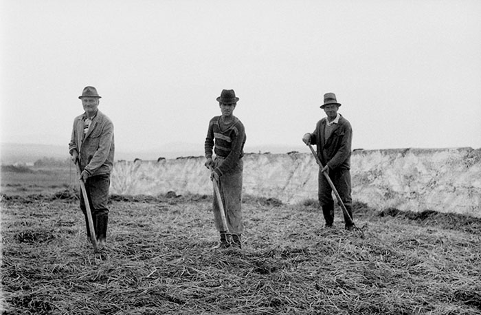 minerva_Agrar_c1_c3r5_018